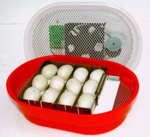 inkubator z 12 jajami