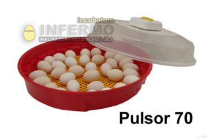 Inkubator Pulsor 6